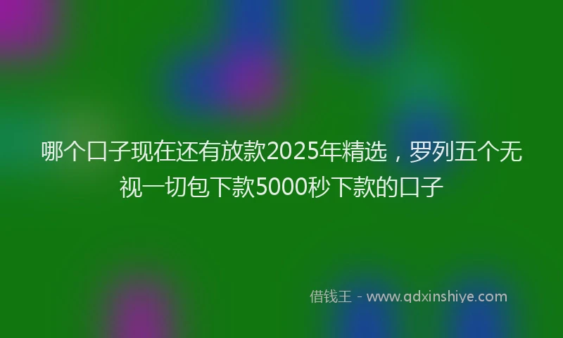 哪个口子现在还有放款2025年精选，罗列五个无视一切包下款5000秒下款的口子