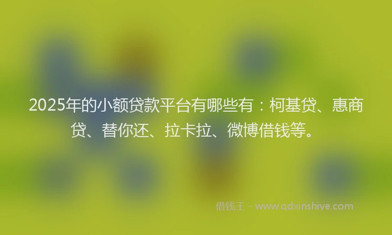2025年的小额贷款平台有哪些有：柯基贷、惠商贷、替你还、拉卡拉、微博借钱等。