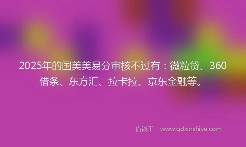 2025年的国美美易分审核不过有：微粒贷、360借条、东方汇、拉卡拉、京东金融等。