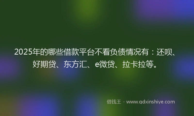 2025年的哪些借款平台不看负债情况有：还呗、好期贷、东方汇、e微贷、拉卡拉等。