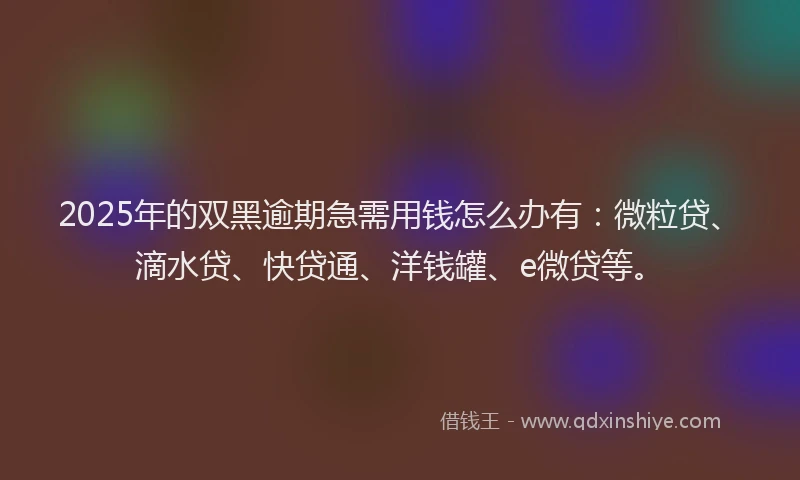 2025年的双黑逾期急需用钱怎么办有：微粒贷、滴水贷、快贷通、洋钱罐、e微贷等。