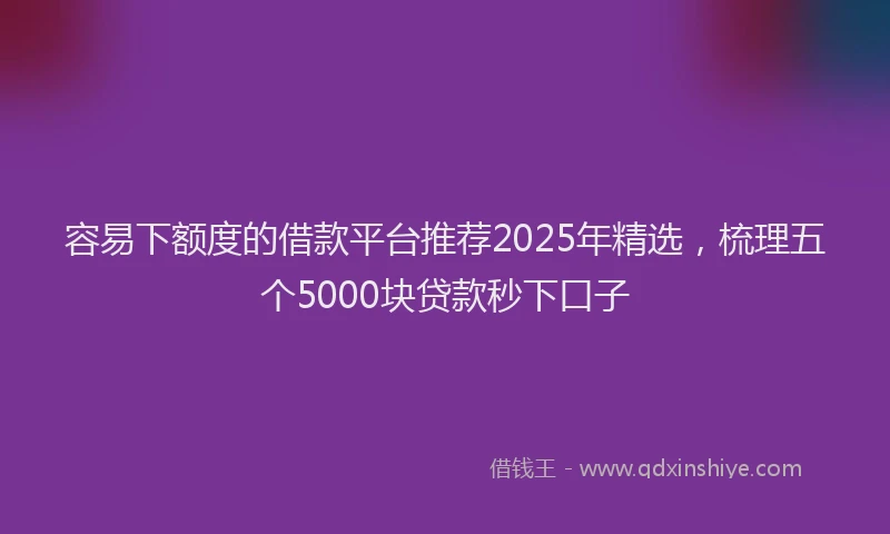 容易下额度的借款平台推荐2025年精选，梳理五个5000块贷款秒下口子