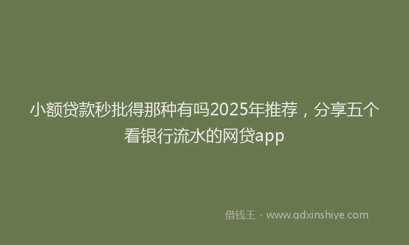 小额贷款秒批得那种有吗2025年推荐，分享五个看银行流水的网贷app
