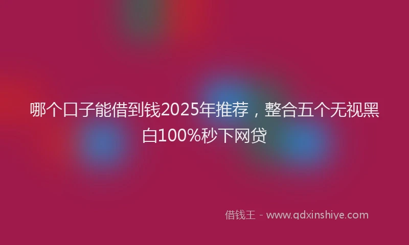 哪个口子能借到钱2025年推荐，整合五个无视黑白100%秒下网贷