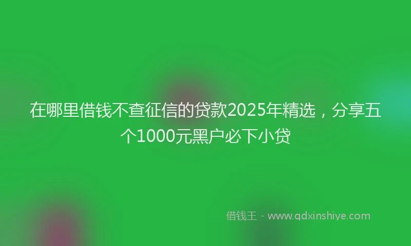 在哪里借钱不查征信的贷款2025年精选，分享五个1000元黑户必下小贷