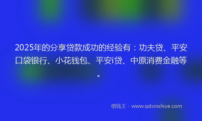 2025年的分享贷款成功的经验有：功夫贷、平安口袋银行、小花钱包、平安i贷、中原消费金融等。
