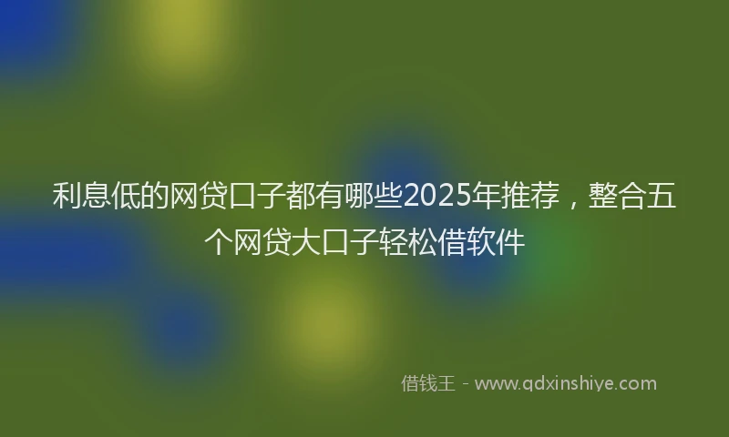 利息低的网贷口子都有哪些2025年推荐，整合五个网贷大口子轻松借软件