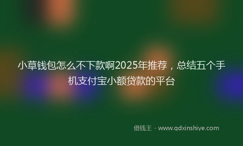 小草钱包怎么不下款啊2025年推荐，总结五个手机支付宝小额贷款的平台