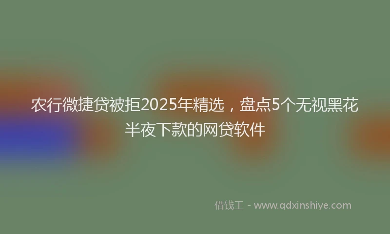 农行微捷贷被拒2025年精选，盘点5个无视黑花半夜下款的网贷软件