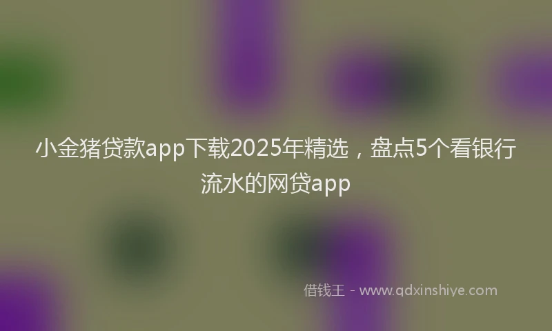 小金猪贷款app下载2025年精选，盘点5个看银行流水的网贷app