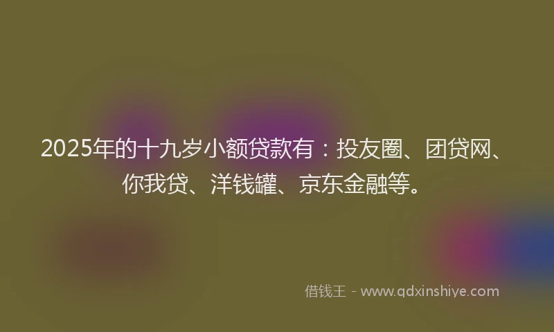 2025年的十九岁小额贷款有：投友圈、团贷网、你我贷、洋钱罐、京东金融等。