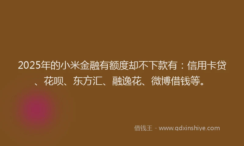 2025年的小米金融有额度却不下款有：信用卡贷、花呗、东方汇、融逸花、微博借钱等。