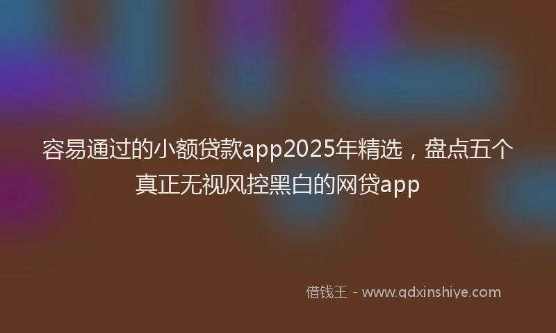 容易通过的小额贷款app2025年精选，盘点五个真正无视风控黑白的网贷app