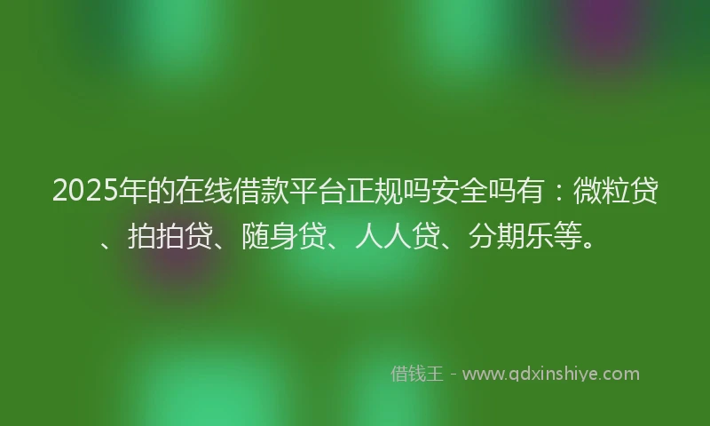 2025年的在线借款平台正规吗安全吗有：微粒贷、拍拍贷、随身贷、人人贷、分期乐等。
