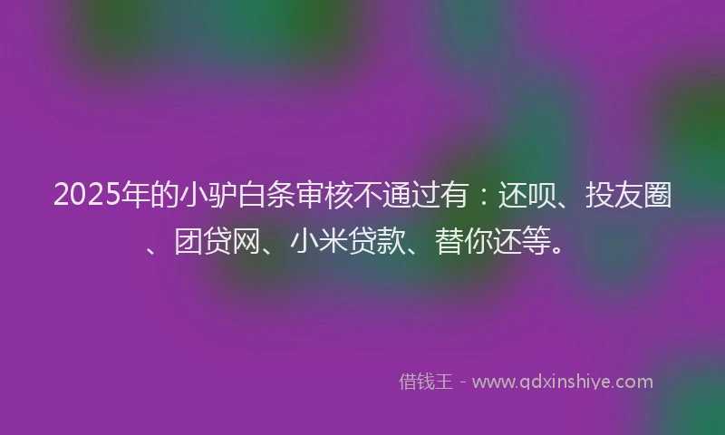2025年的小驴白条审核不通过有：还呗、投友圈、团贷网、小米贷款、替你还等。