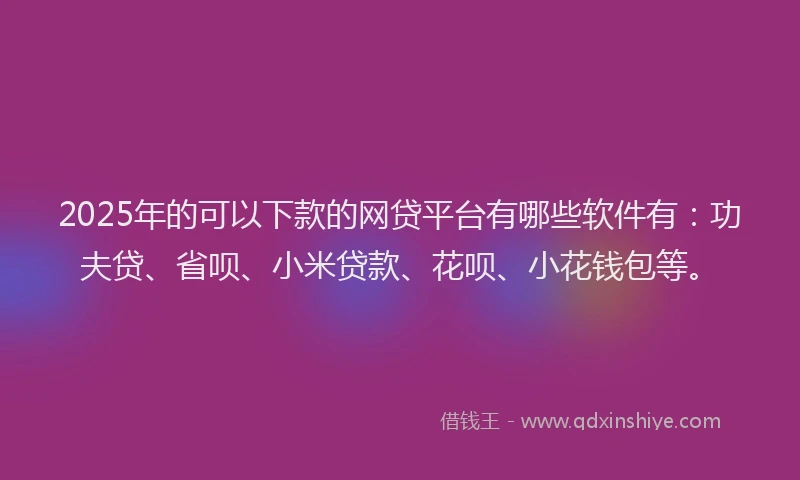 2025年的可以下款的网贷平台有哪些软件有：功夫贷、省呗、小米贷款、花呗、小花钱包等。