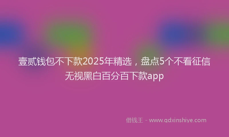 壹贰钱包不下款2025年精选，盘点5个不看征信无视黑白百分百下款app