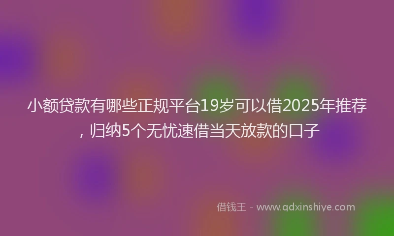 小额贷款有哪些正规平台19岁可以借2025年推荐，归纳5个无忧速借当天放款的口子