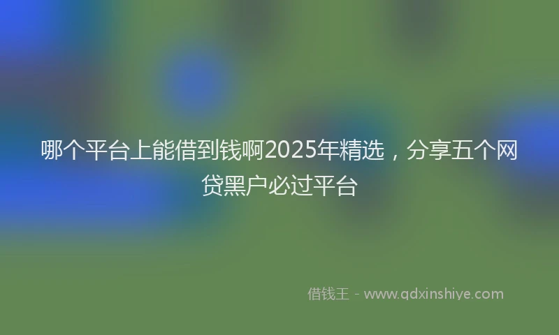 哪个平台上能借到钱啊2025年精选，分享五个网贷黑户必过平台