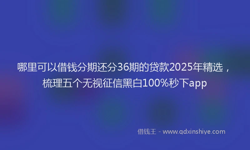 哪里可以借钱分期还分36期的贷款2025年精选，梳理五个无视征信黑白100%秒下app