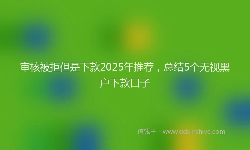 审核被拒但是下款2025年推荐，总结5个无视黑户下款口子