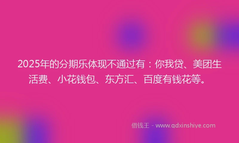 2025年的分期乐体现不通过有：你我贷、美团生活费、小花钱包、东方汇、百度有钱花等。