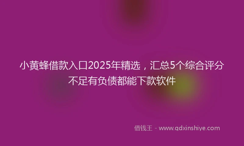 小黄蜂借款入口2025年精选，汇总5个综合评分不足有负债都能下款软件
