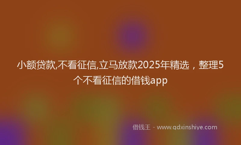 小额贷款,不看征信,立马放款2025年精选，整理5个不看征信的借钱app
