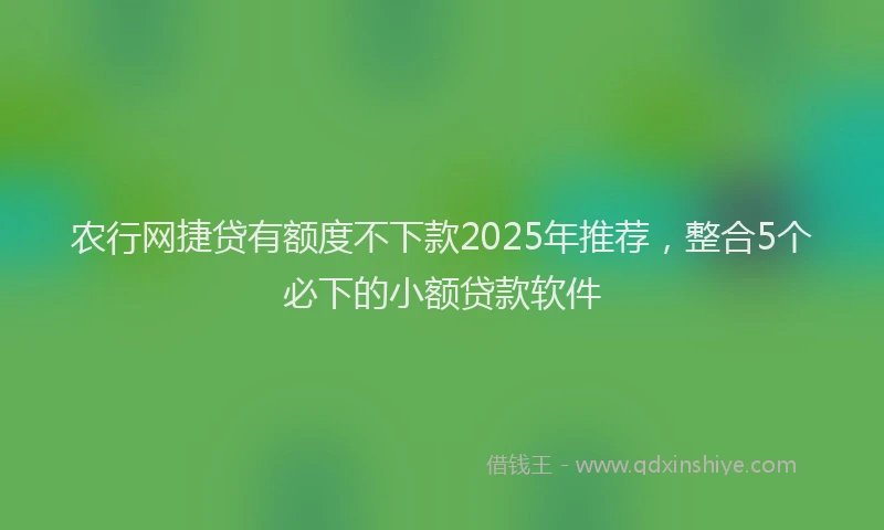 农行网捷贷有额度不下款2025年推荐，整合5个必下的小额贷款软件