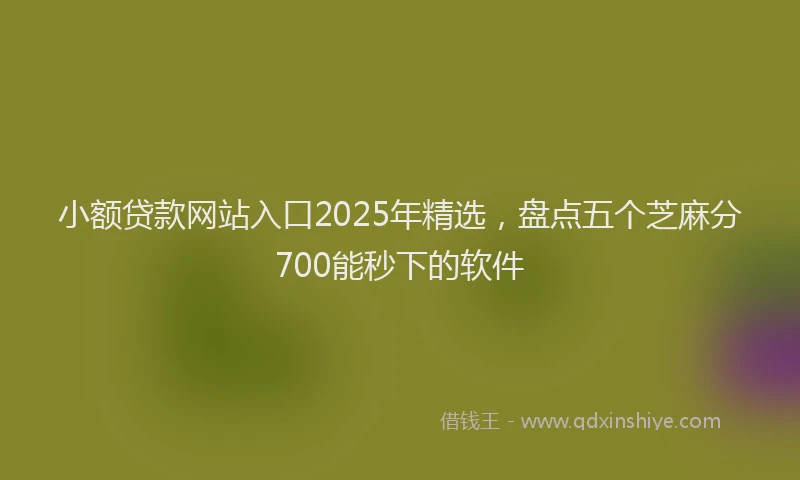 小额贷款网站入口2025年精选，盘点五个芝麻分700能秒下的软件