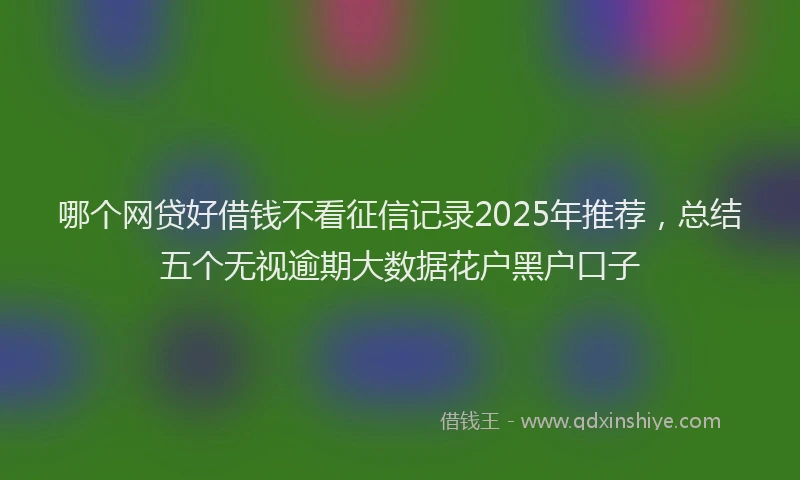 哪个网贷好借钱不看征信记录2025年推荐，总结五个无视逾期大数据花户黑户口子