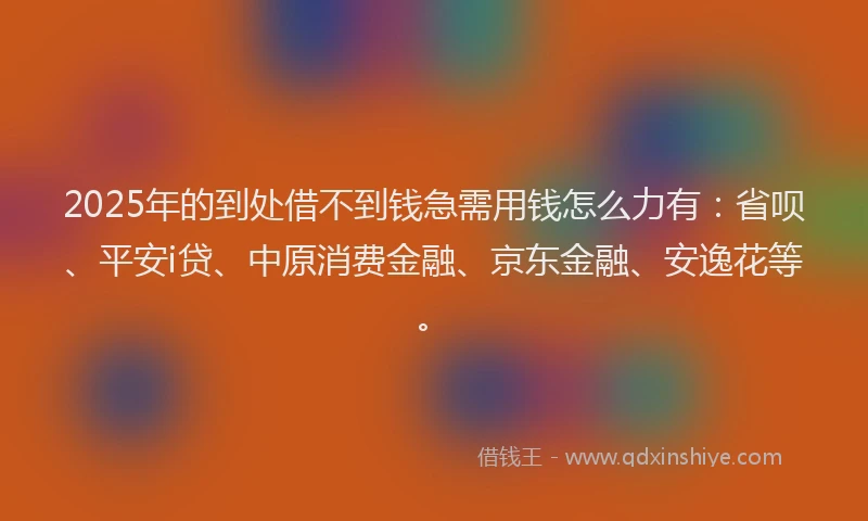 2025年的到处借不到钱急需用钱怎么力有：省呗、平安i贷、中原消费金融、京东金融、安逸花等。