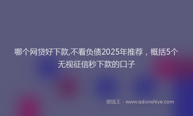 哪个网贷好下款,不看负债2025年推荐，概括5个无视征信秒下款的口子