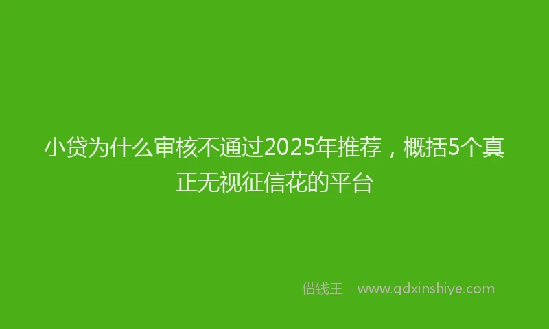 小贷为什么审核不通过2025年推荐，概括5个真正无视征信花的平台