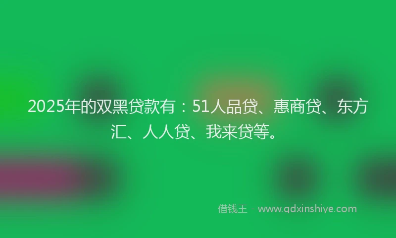 2025年的双黑贷款有：51人品贷、惠商贷、东方汇、人人贷、我来贷等。