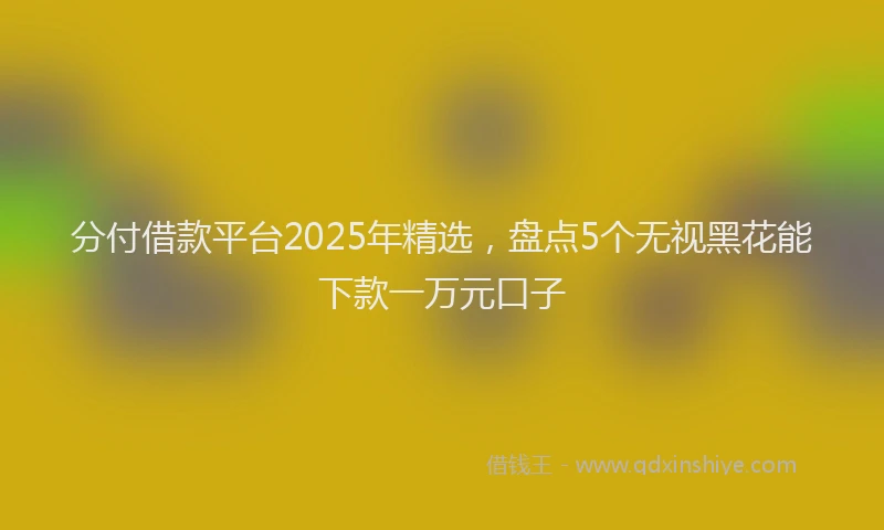 分付借款平台2025年精选，盘点5个无视黑花能下款一万元口子