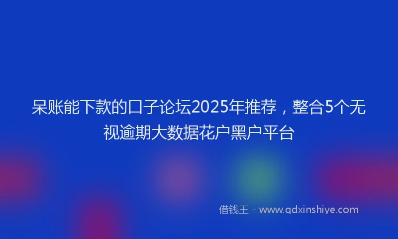 呆账能下款的口子论坛2025年推荐，整合5个无视逾期大数据花户黑户平台