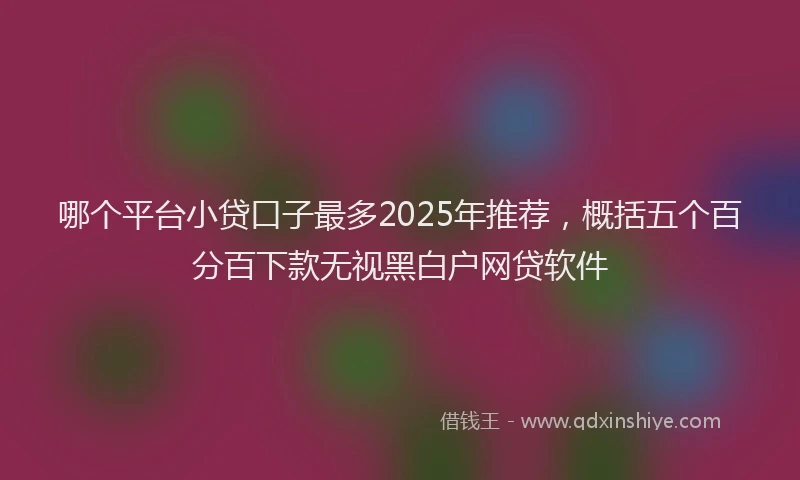 哪个平台小贷口子最多2025年推荐，概括五个百分百下款无视黑白户网贷软件