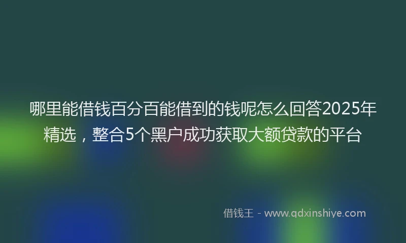 哪里能借钱百分百能借到的钱呢怎么回答2025年精选，整合5个黑户成功获取大额贷款的平台