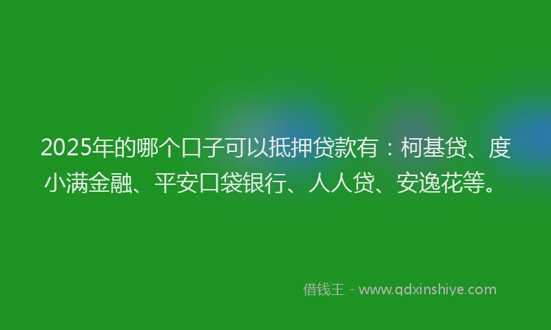 2025年的哪个口子可以抵押贷款有：柯基贷、度小满金融、平安口袋银行、人人贷、安逸花等。