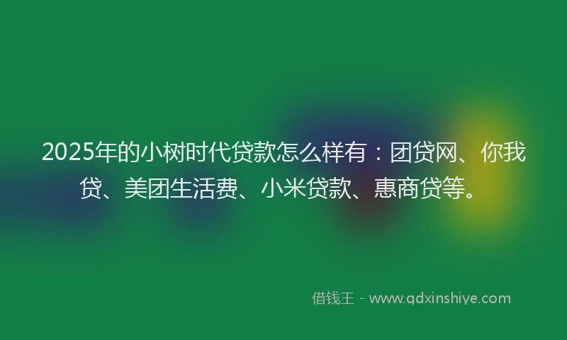 2025年的小树时代贷款怎么样有：团贷网、你我贷、美团生活费、小米贷款、惠商贷等。