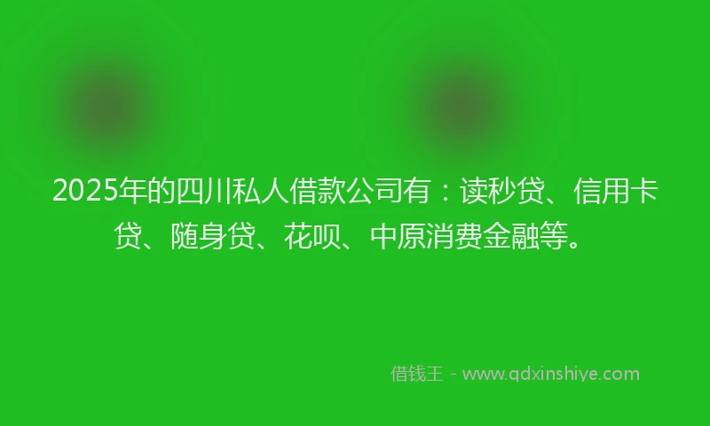 2025年的四川私人借款公司有：读秒贷、信用卡贷、随身贷、花呗、中原消费金融等。