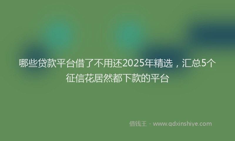 哪些贷款平台借了不用还2025年精选，汇总5个征信花居然都下款的平台