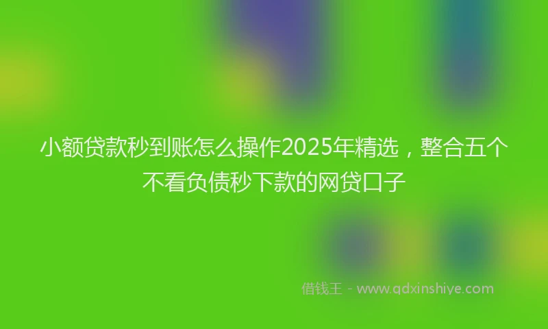 小额贷款秒到账怎么操作2025年精选，整合五个不看负债秒下款的网贷口子