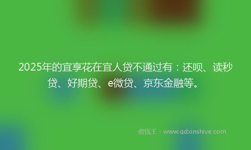 2025年的宜享花在宜人贷不通过有：还呗、读秒贷、好期贷、e微贷、京东金融等。