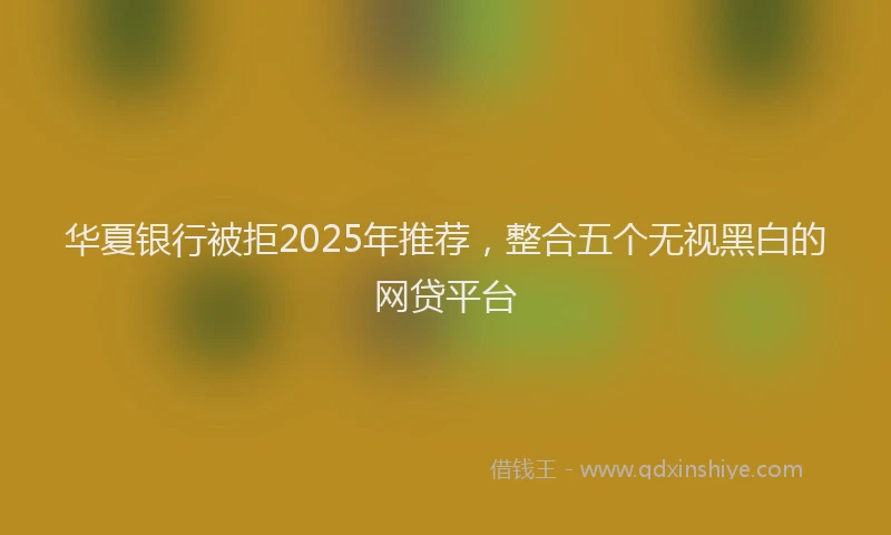 华夏银行被拒2025年推荐，整合五个无视黑白的网贷平台