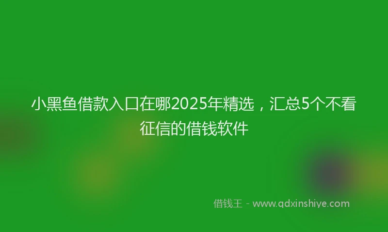 小黑鱼借款入口在哪2025年精选，汇总5个不看征信的借钱软件
