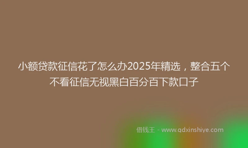 小额贷款征信花了怎么办2025年精选，整合五个不看征信无视黑白百分百下款口子