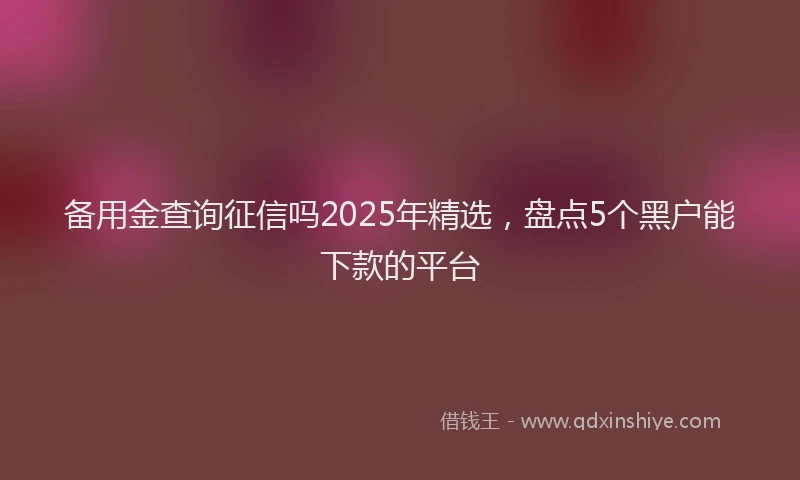 备用金查询征信吗2025年精选，盘点5个黑户能下款的平台