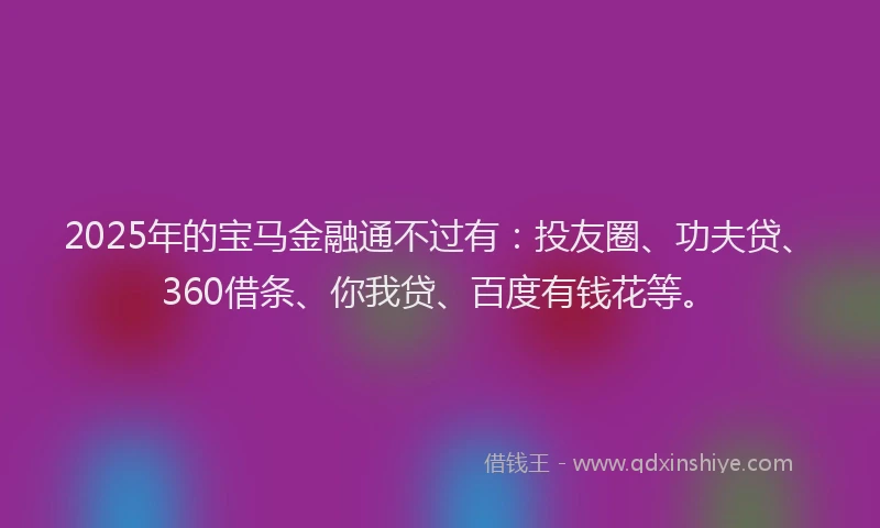 2025年的宝马金融通不过有：投友圈、功夫贷、360借条、你我贷、百度有钱花等。